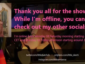 Naked cam girl little_dutch image #2295288