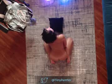 Naked cam girl tiny_panther image #3553152