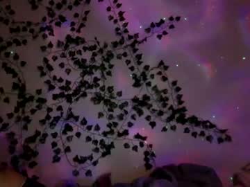 Naked cam girl trippyhippieex image #1596330