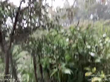 Naked cam girl phoenix_taylor image #1699774