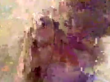 angelak19 naked cam