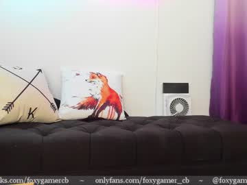 Naked cam girl foxy_gamer image #1911165
