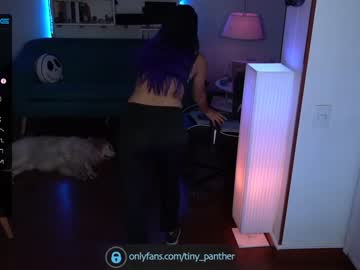 Naked cam girl tiny_panther image #1457995
