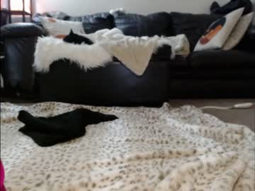 Naked cam girl shastathecat image #3561792