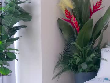 Naked cam girl belle_adrienne image #1732134