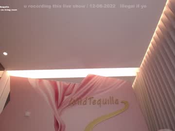 Naked cam girl wildtequilla image #2412902