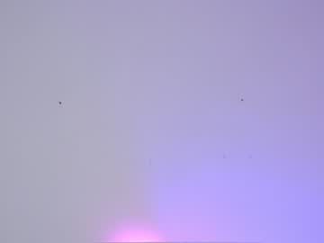 Naked cam girl sapphirealice image #1262317