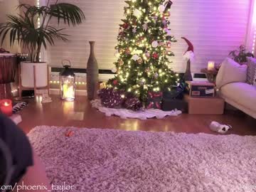 Naked cam girl phoenix_taylor image #3310398