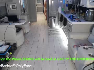 Naked cam girl rvlifebarbie image #2648582