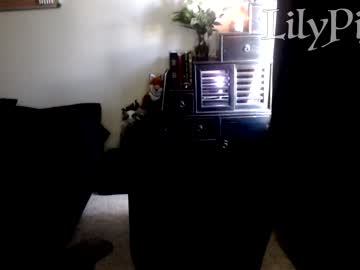 Naked cam girl lilypixel image #1485688