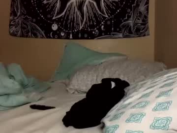 Naked cam girl princesshannnnn image #1119097