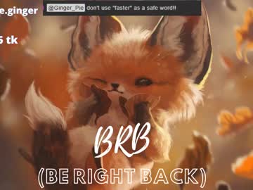 Naked cam girl ginger_pie image #2728013