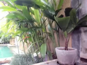 Naked cam girl coy_amina image #1380302