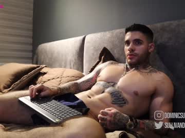 Naked cam man dominic_sullivan1 image #2744759