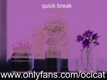 Naked cam girl ocicat image #2277647