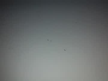 Naked cam man jak113cumseeme image #2134091
