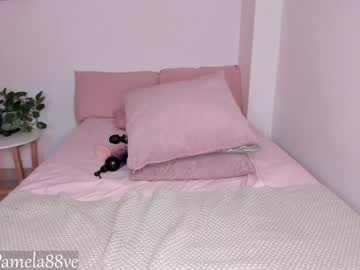 Naked cam girl pamela_velez image #1982915