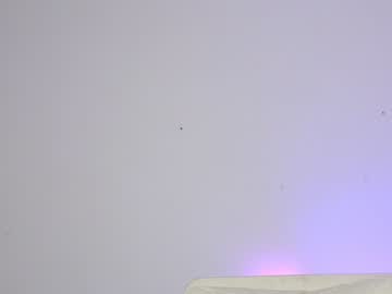 Naked cam girl sapphirealice image #1597725