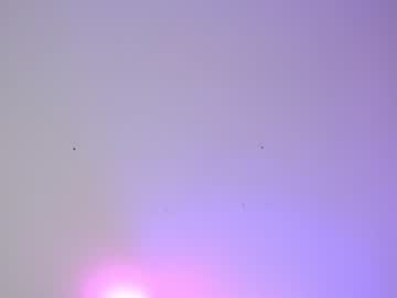 Naked cam girl shycinderella image #1034212