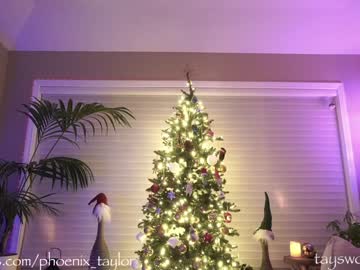 Naked cam girl phoenix_taylor image #3203203