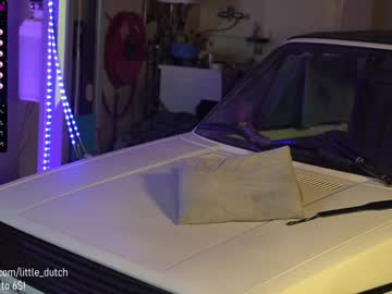 Naked cam girl little_dutch image #1483220