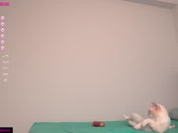 Naked cam girl the_hot_ruby image #2190606