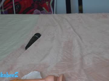 Naked cam girl erikabee image #2631393
