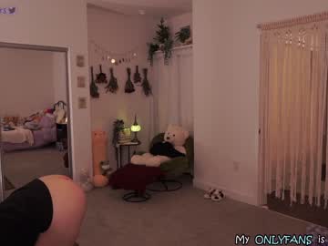 Naked cam girl evelynpiers image #3432013