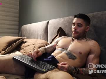 Naked cam man dominic_sullivan1 image #2744653