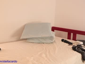 Naked cam girl stella_and_stephan image #1664819