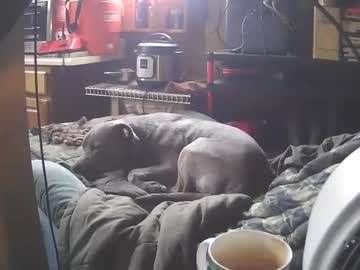got_offgrid naked cam