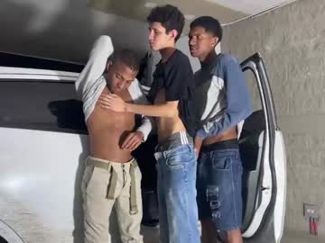 Naked cam man car_secrets image #3030955