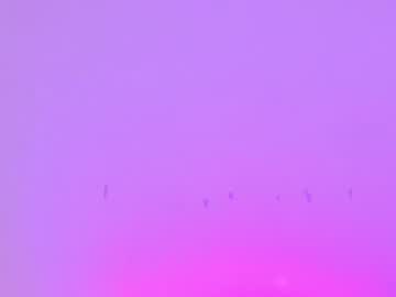 Naked cam girl sapphirealice image #638148