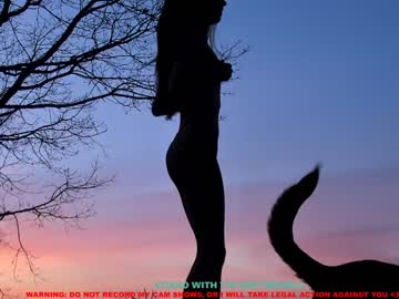 Naked cam girl coy_amina image #793836