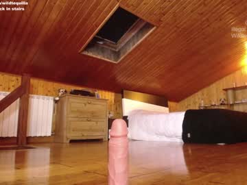 Naked cam girl wildtequilla image #1040234